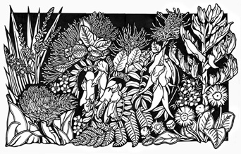 New Zealand Wildflowers B&W