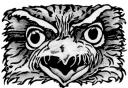 Tawny Frogmouth Graphite