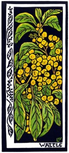 Golden Wattle Wildflower Card