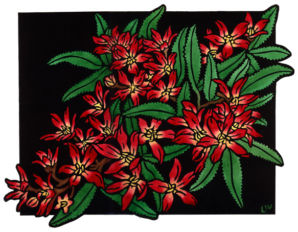 Christmas Bush - Set 12