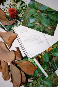 Designing linocuts 1