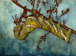 Caterpiller Drawing Illustration