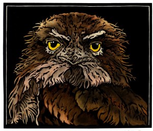 Tawny Frogmouth Stare Linocut