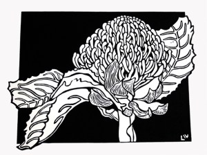 Waratah 2008 Linocut B&W