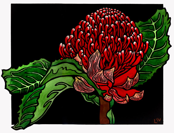 Waratah 2008 - Set 12