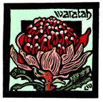 83. Waratah 02 - Linocut