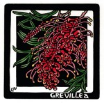 Grevillea sp. hybrid - Linocut