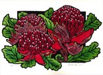 96. Waratah Trio - Linocut