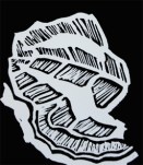 Waratah Leaves Sample Linocut carving