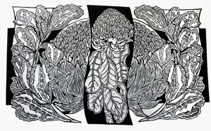 Waratahs Linocut - First proof print