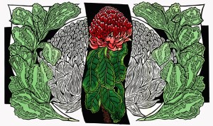 Waratahs - Pale green Watercolour 1