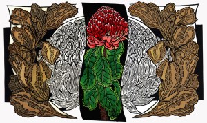 Waratahs - Sepia Watercolour 2