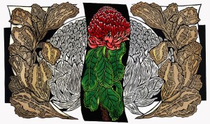 Waratahs - Pale sepia Watercolour 3