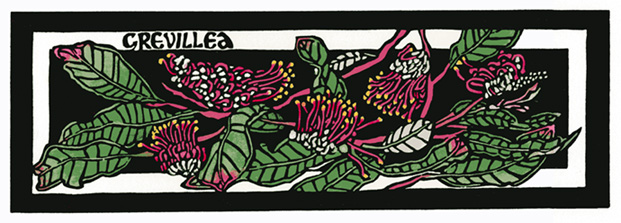 Grevillea barklyana - Linocut