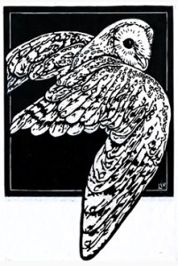 barn-owl-designproofweb