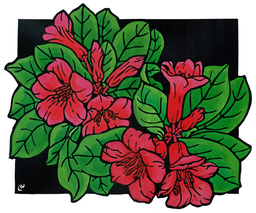 rhododendronweb rhododendronweb