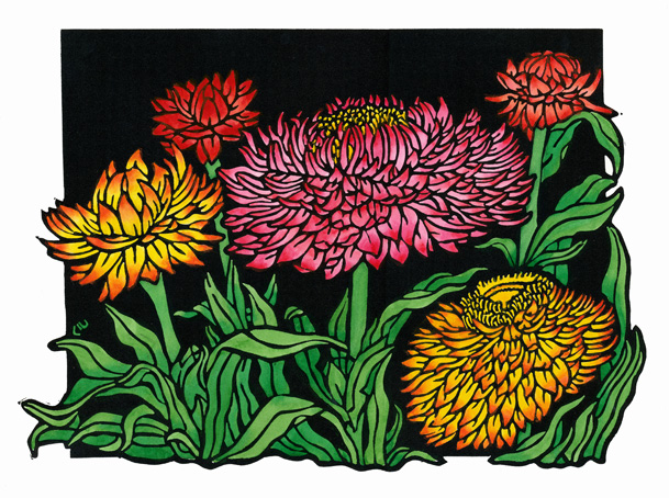 strawflowersweb strawflowersweb