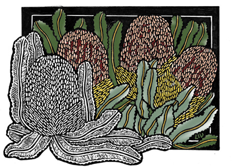 Banksias 2012 Cards COLOUR WEB