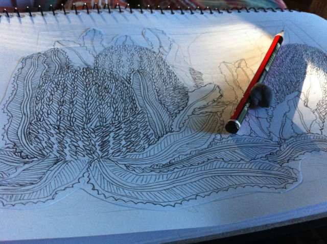 B&W Banksias Design - 2_2