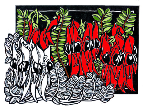 Sturt Desert Pea CARD 2012 COLOUR WEB