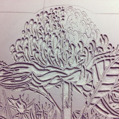 Blue Mtns Wildflowers 11