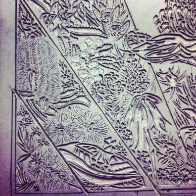 Blue Mtns Wildflowers 14