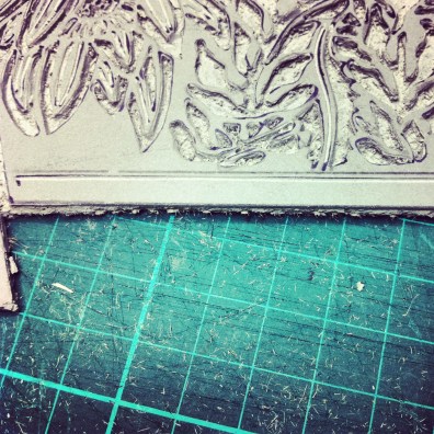 Blue Mtns Wildflowers 6