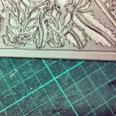 Blue Mtns Wildflowers 8