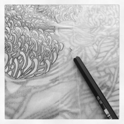 Waratah Tryptich DEsign Transfer 1