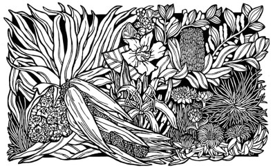 11 Seaside Wildflowers - TEMPLATE FINAL 1