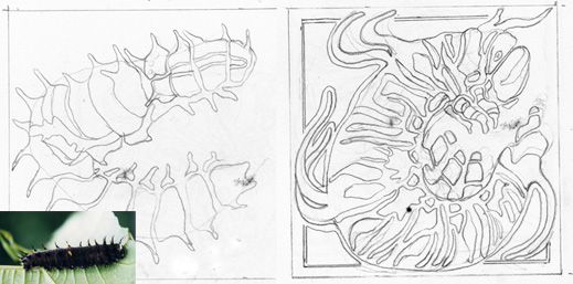 AUS ALPHABET CATERPILLAR DRAWINGS WEB
