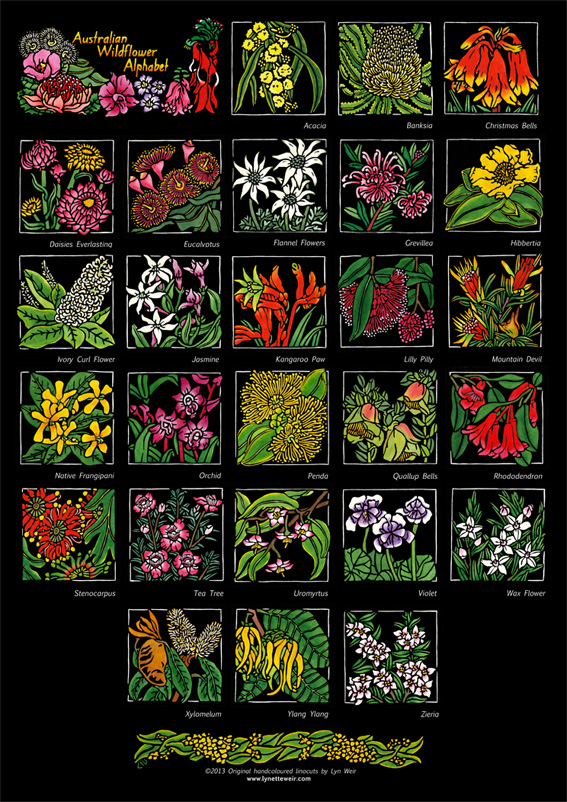 SOULSONG - Lynette Weir - Australian Wildflower Alphabet WEB