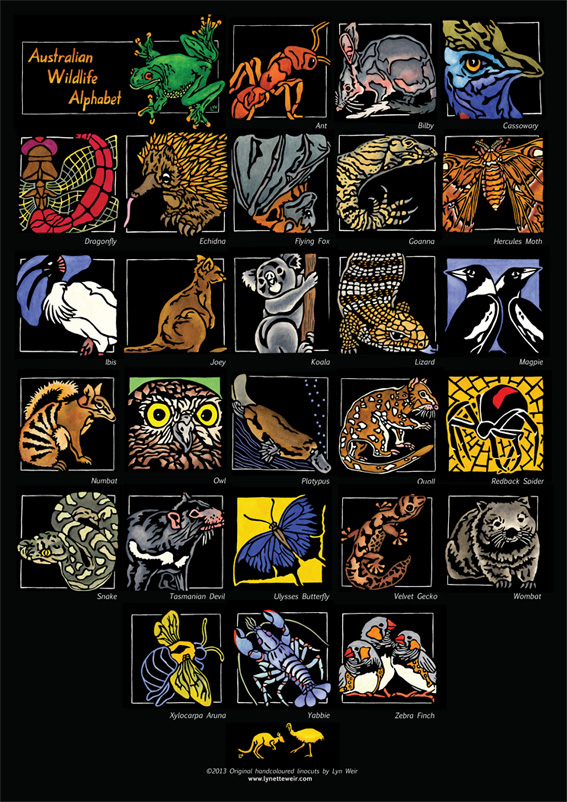 SOULSONG - Lynette Weir - Australian Wildlife Alphabet WEB