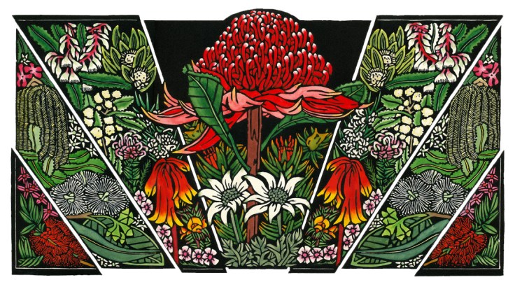 Lynette Weir -Blue Mountains Wildflowers - Oct 2013 WEB