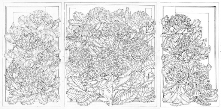 SKETCHBOOK & DRAWINGS - Waratah Trytich WEB