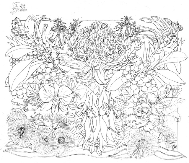 Australian Floral Emblems 2014 Drawing medium SCAN