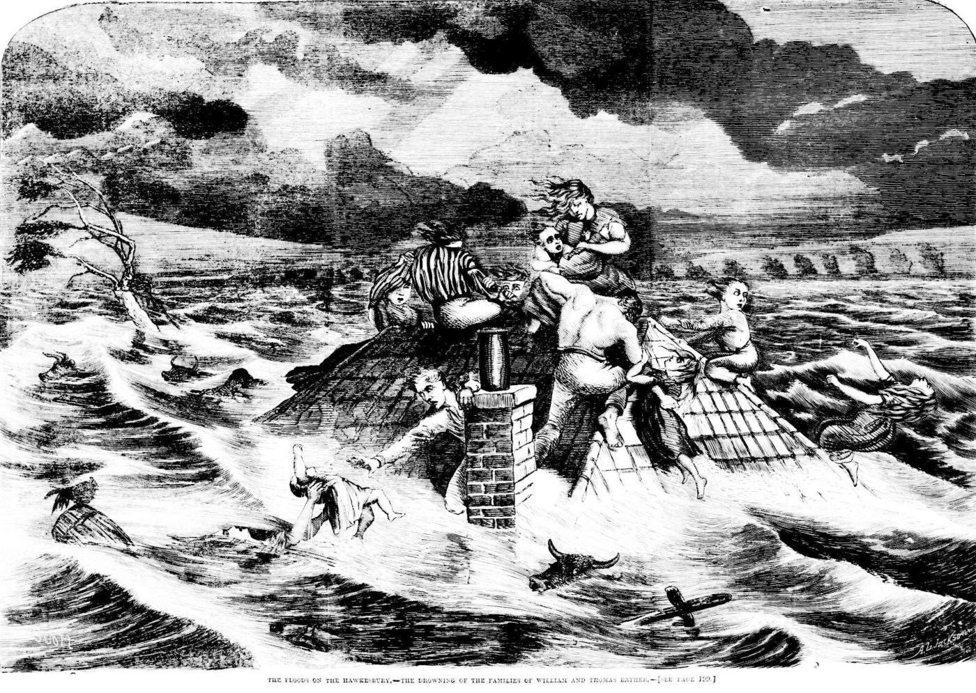 Illustrated Sydney News - Tuesday 16 July 1867 page 8